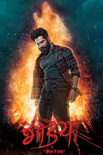 Theatrical Poster (India)