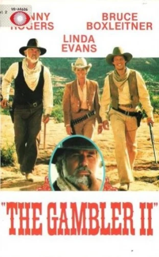 VHS Cover (Netherlands)