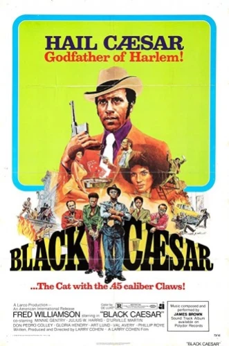 Theatrical Poster