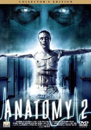 DVD Cover (Japan)