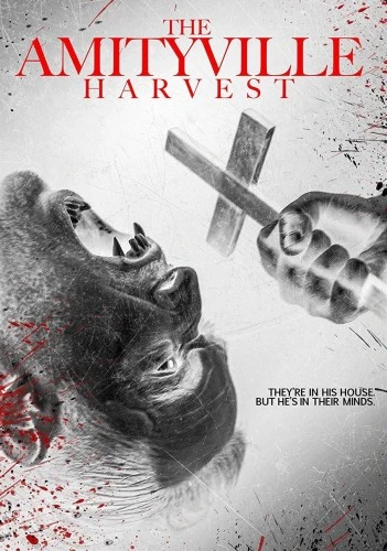 DVD Cover (Lions Gate)