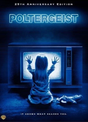 DVD Cover (Warner Brother)