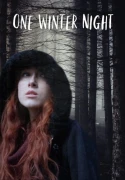 One Winter Night