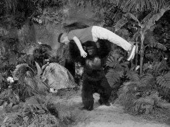 Diamonds Are an Ape's Best Friend