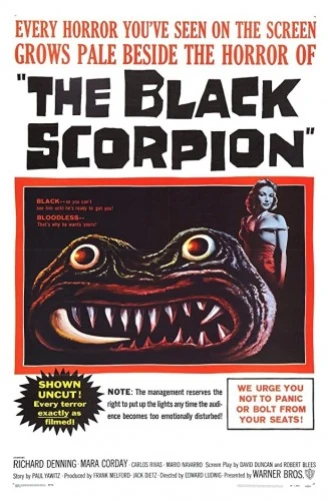 Theatrical Poster
