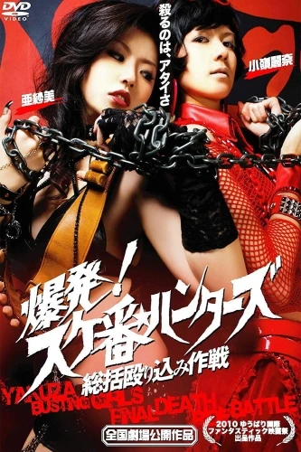DVD Cover (Japan)