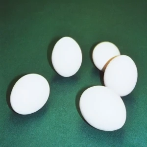Five Eggs