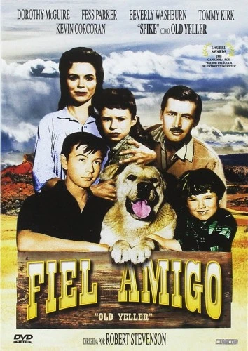 DVD Cover (Spanish)