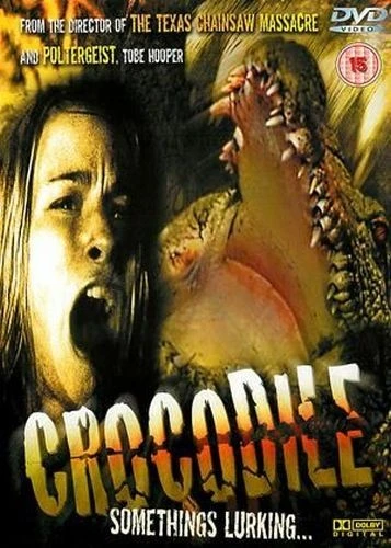 DVD Cover (UK)