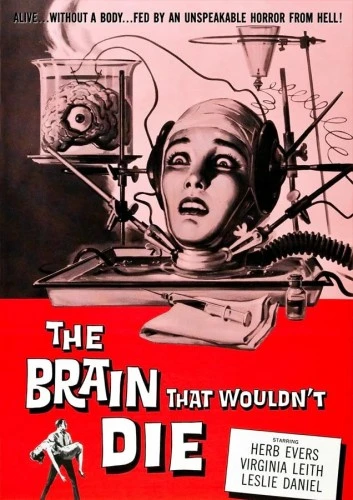 DVD Cover (Reel Vault)