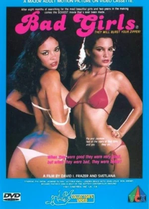 DVD Cover (VCX)