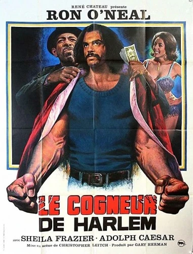 Theatrical Poster (France)