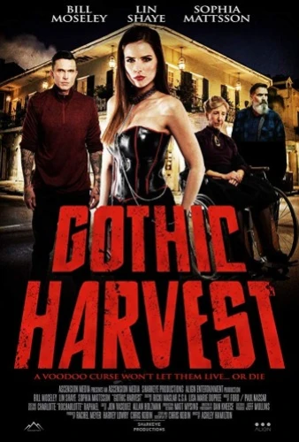 Theatrical Poster (USA)
