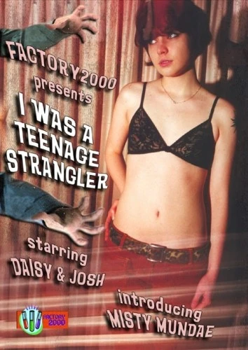 DVD Cover (Factory 2000)
