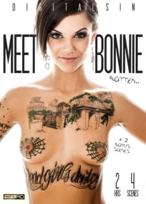DVD Cover (Digital Sin)