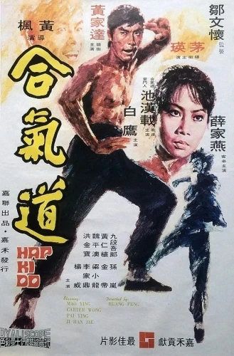 Theatrical Poster (China)