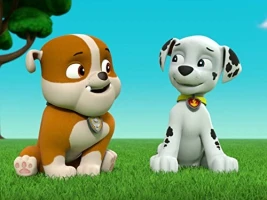Pups Save a Cuckoo Clock/Pups Save Ms. Marjorie's House