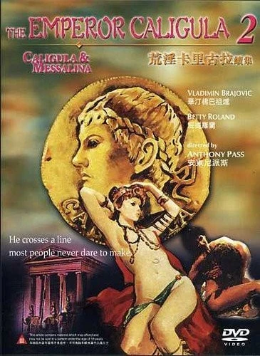 DVD Cover (Hong Kong)