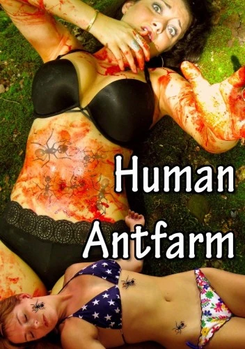 DVD Cover (Grimoire Edited Version)