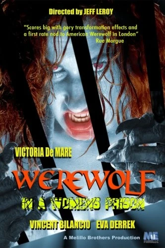 DVD Cover (ME Films)