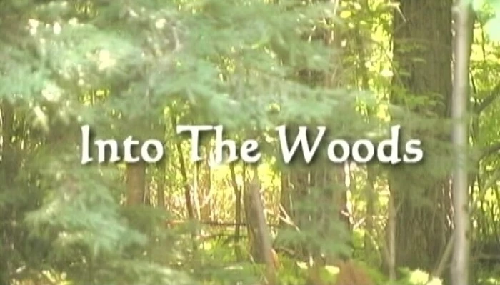 Title Card