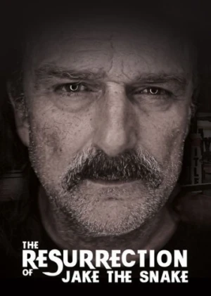 DVD Cover (Slamdance Presents)