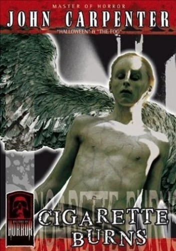DVD Cover (Germany)