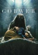 Cobweb