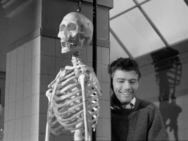 The Cadaver