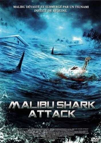 Theatrical Poster (France)