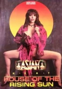 Asian Heat 4: House Of The Rising Sun