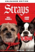 Strays