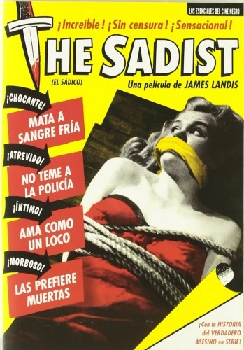 DVD Cover (Spanish)