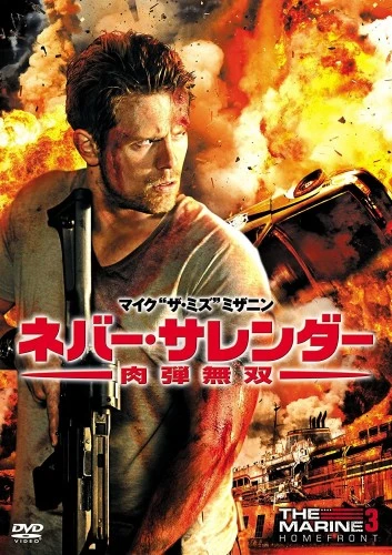 DVD Cover (Japan)
