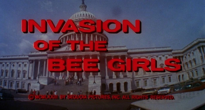 Title Card