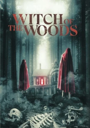 DVD Cover (Allied Vaughn)
