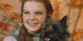 The Wizard of Oz