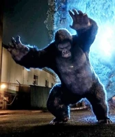 Gorilla Warfare