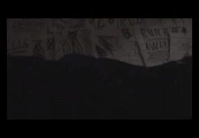 Entry #11