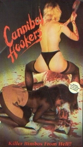 VHS Cover (Camp Video)