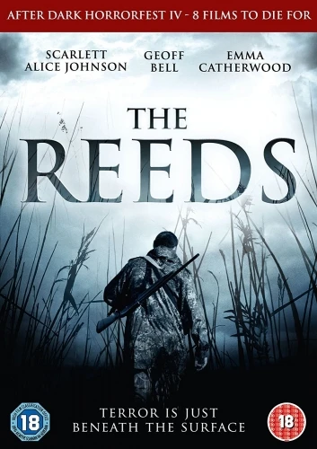 DVD Cover (UK)