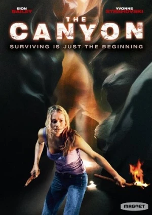 DVD Cover (Magnet Releasing)