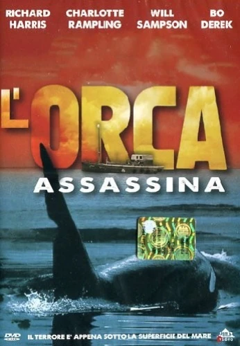 DVD Cover (Italy)