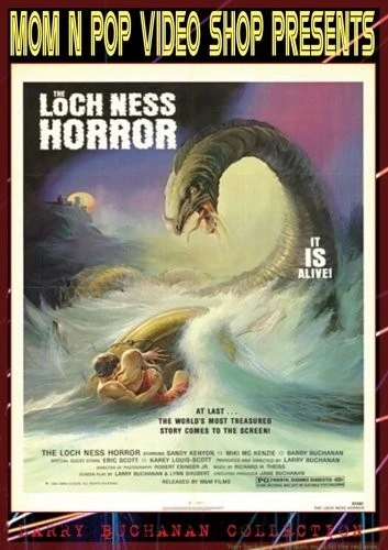 DVD Cover (Mom N Pop Video Shop)