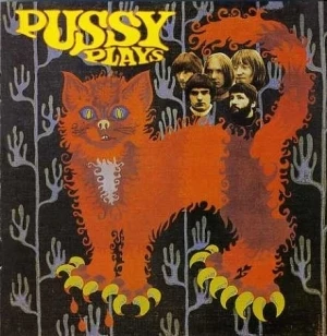 Pussy Plays