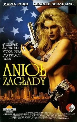 Theatrical Poster (Poland)