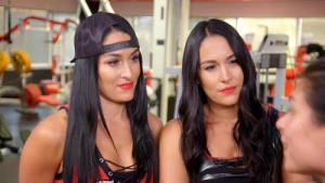 The Bella Twins and Carly