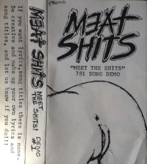 Meet the Shits 781 Song Demo