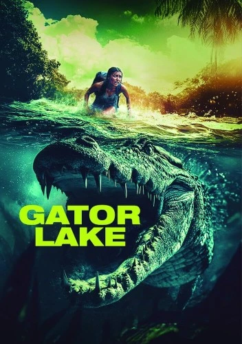 DVD Cover (Brainstorm Media)
