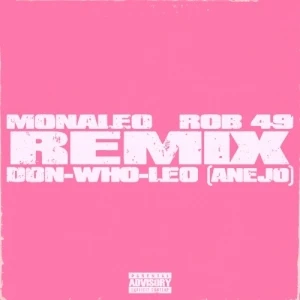 Don Who Leo (Añejo remix)